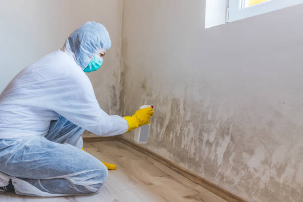 Licensed Bathroom Mold Removal service in Middlesex, NC - WQB Mold Removal