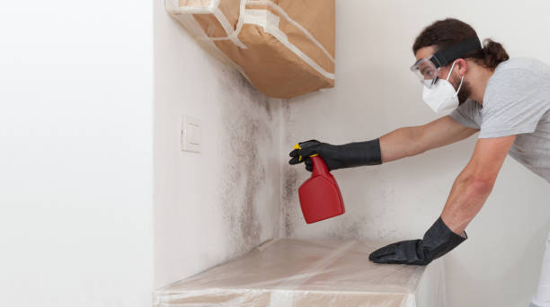 Professional Bathroom Mold Removal technician working in Middlesex, NC