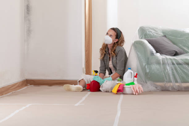 Reliable Bathroom Mold Removal contractor in Middlesex, NC by WQB Mold Removal